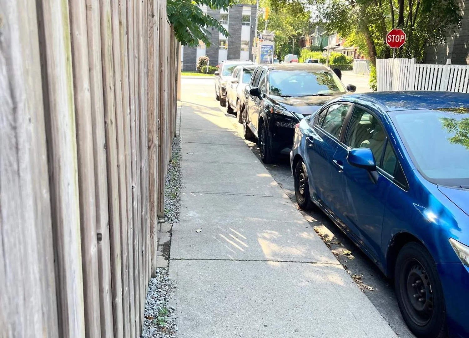 Downtown Toronto Private Suite With Ensuite Bath Separate Entrance カナダ